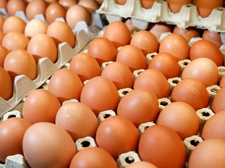 В Италии обнаружили зараженные фипронилом яйца