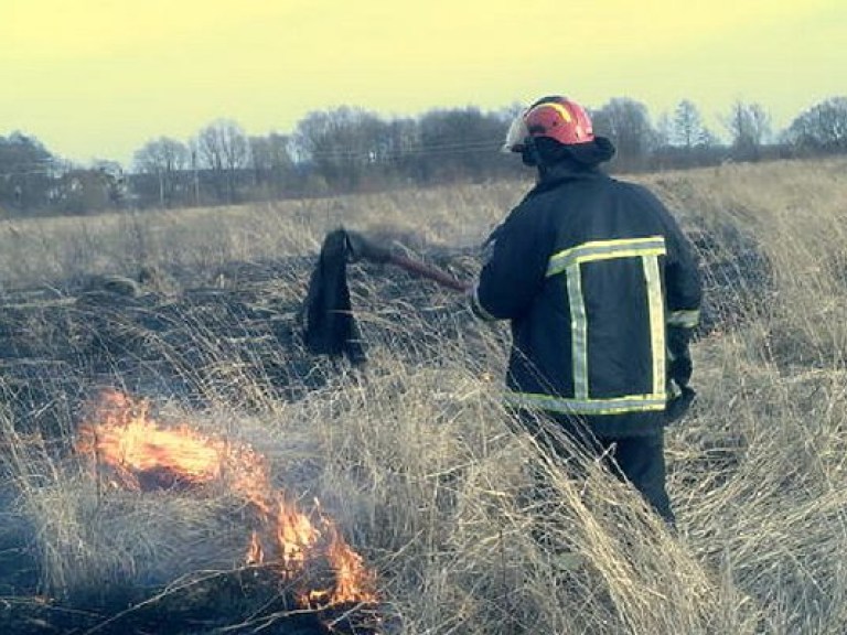 В пяти областях Украины запретили охоту из-за пожаров