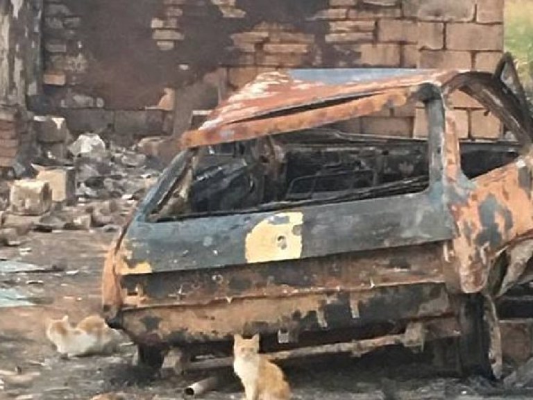 Пожар уничтожил село на Донбассе (ФОТО)