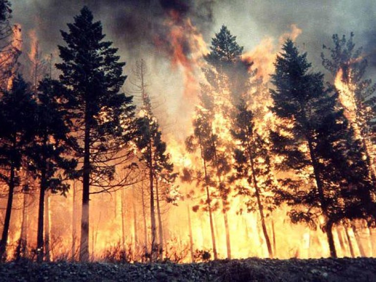 За сутки в Украине произошло 729 пожаров, два человека погибли