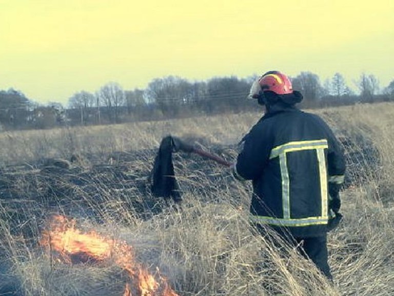 Пожар на территории Полесского природного заповедника на Житомирщине ликвидирован