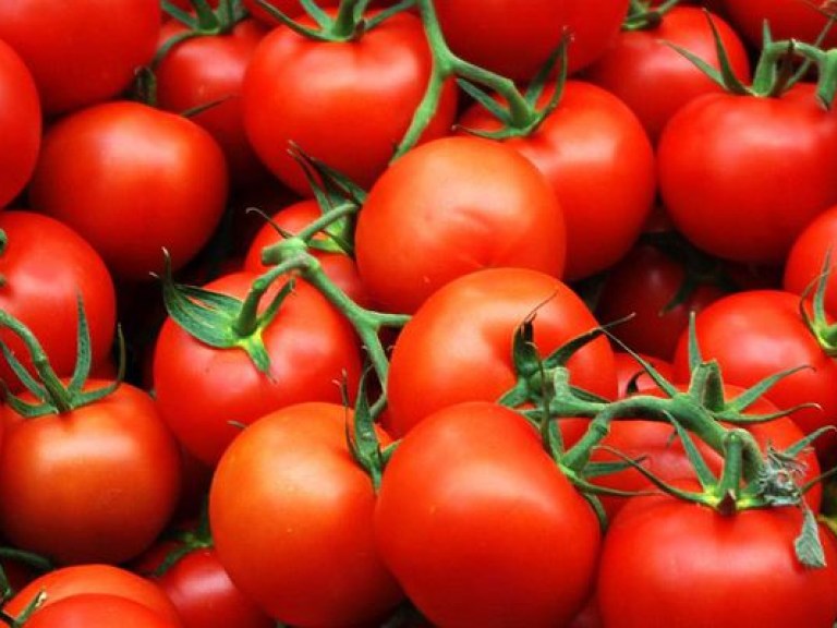 Цены на помидоры и огурцы на рынках и в супермаркетах Киева понизились