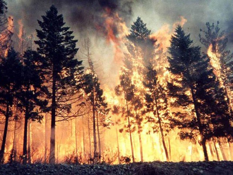 За сутки в Украине произошло 326 пожаров
