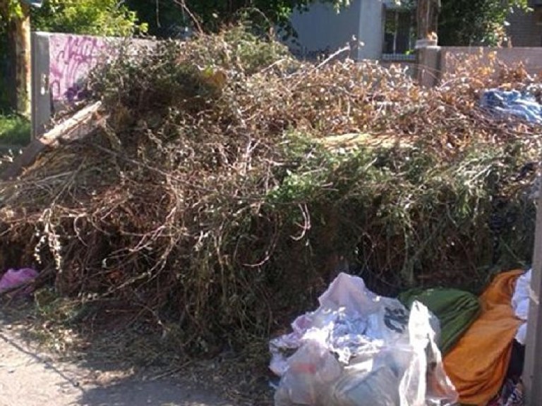 В одном из районов Днепра уже четыре месяца не вывозят мусор (ФОТО)