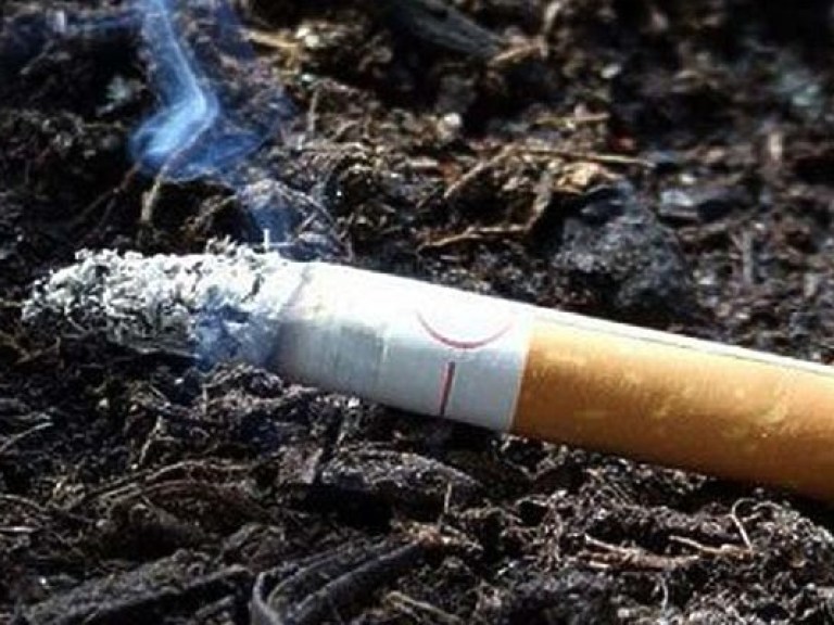 Всемирный банк предупредил о подорожании в Украине сигарет