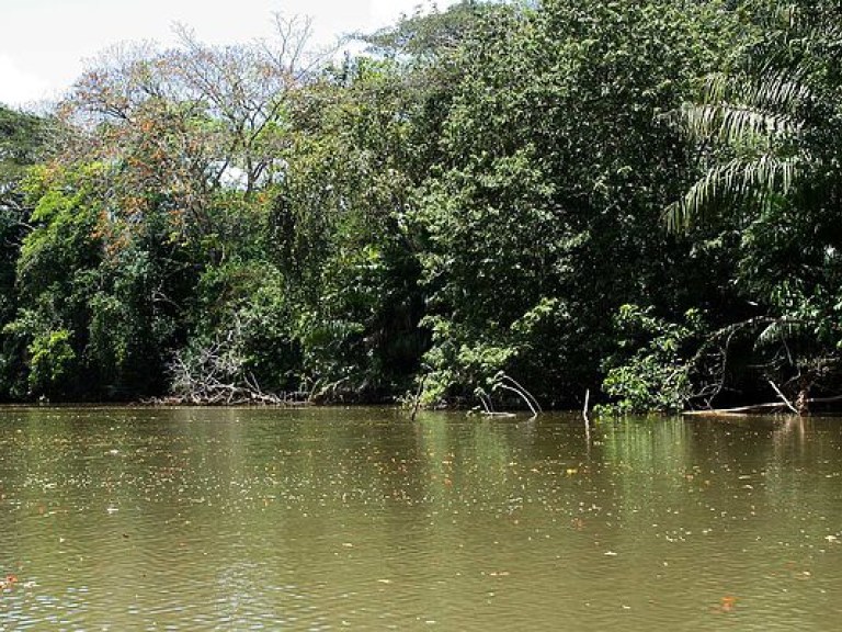 В Никарагуа автобус рухнул в реку, 9 человек погибло (ФОТО, ВИДЕО)