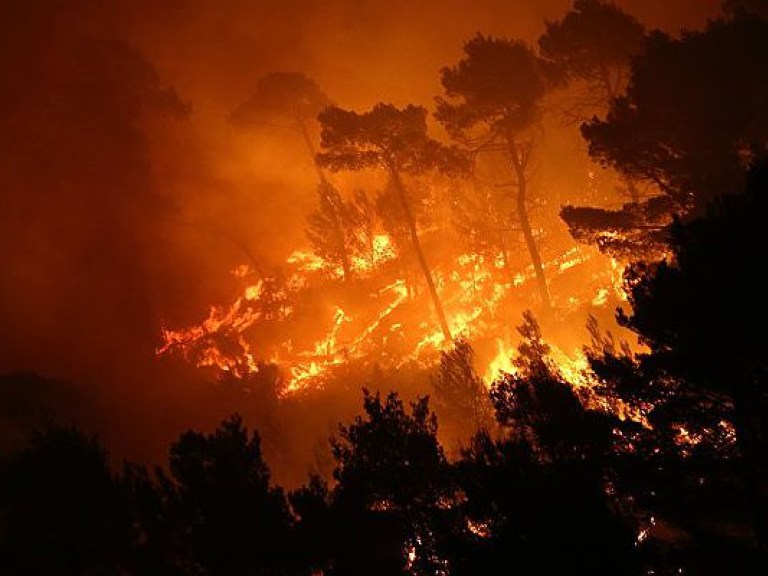 Установили причину масштабного пожара в Хорватии: зажгли свечу на кладбище
