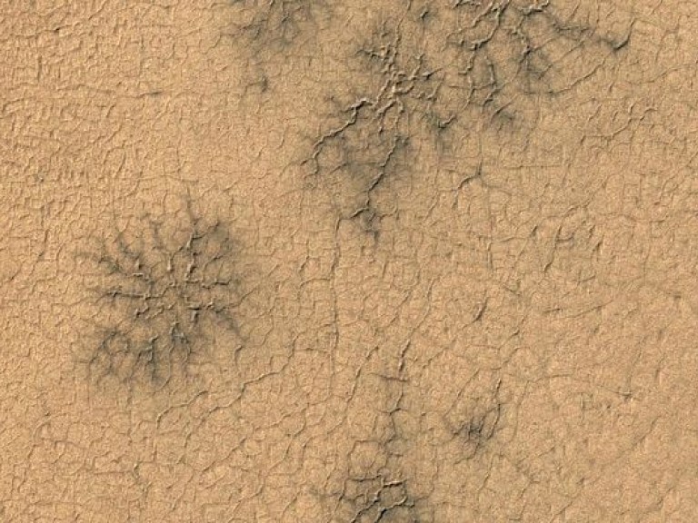 На Марсе нашли &#171;пауков&#187;, которых нет на Земле (ФОТО)