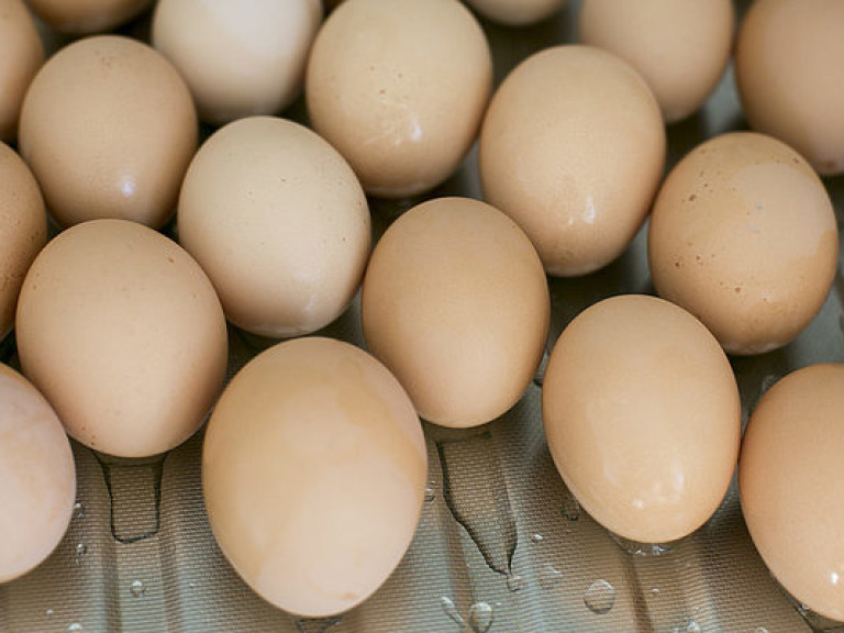 Украинское законодательство не ограничивает ввоз яиц с фипронилом в страну