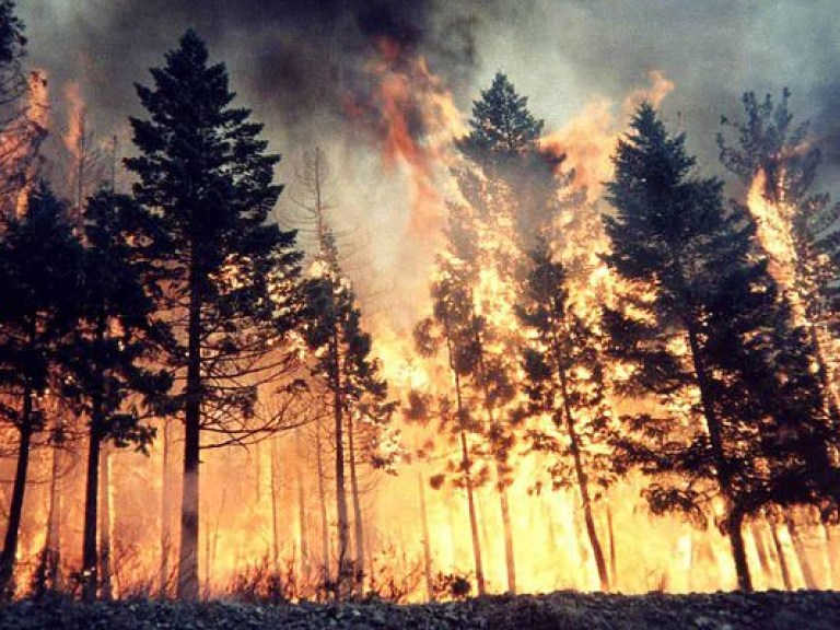 За сутки в Украине произошло 189 пожаров