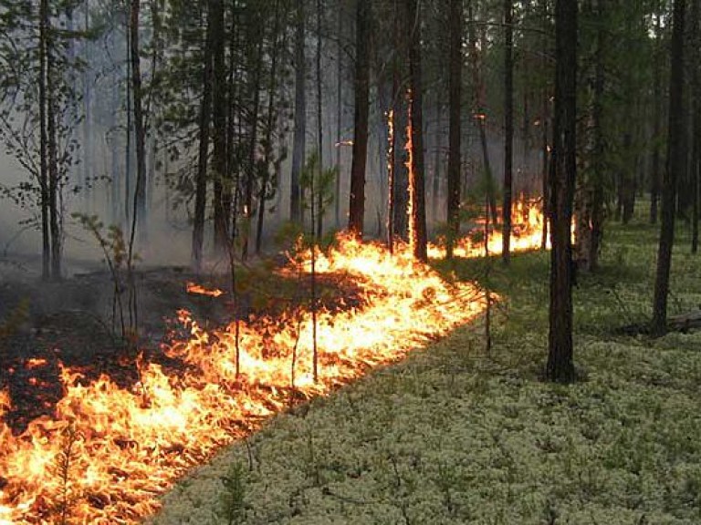 За сутки в Украине произошло 183 пожара