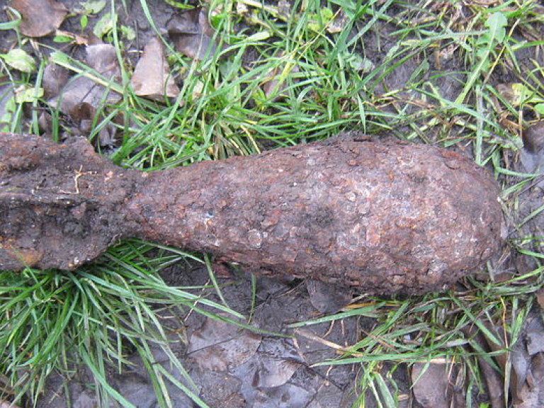 Житель Николаевской области обнаружил мину в огороде