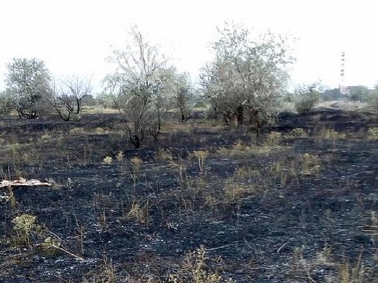 Житель Херсонской области обнаружил мешок с человеческими останками