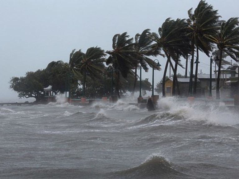 Во Флориде закроют две АЭС из-за урагана «Ирма»