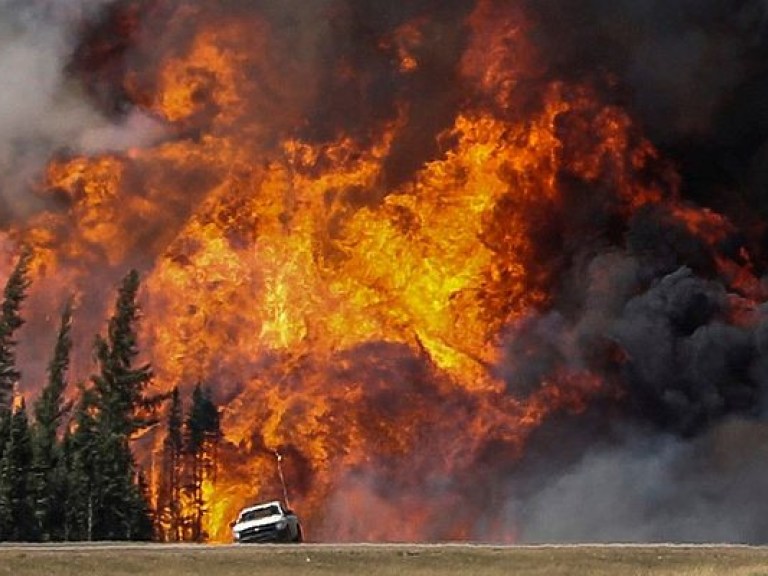 Пожар в Бразилии уничтожил 155 тысяч гектаров леса
