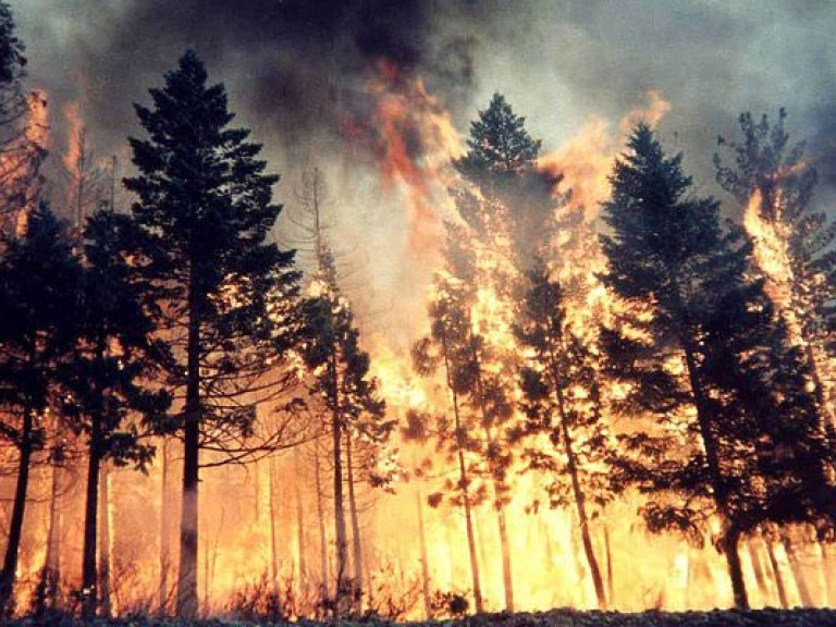 За сутки в Украине произошло 235 пожаров, 2 человека погибли, 9 пострадали