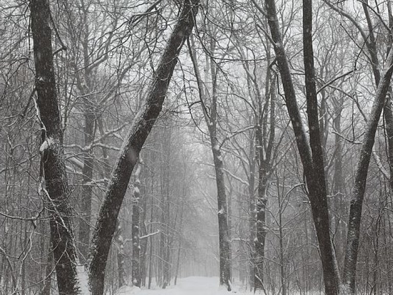 Синоптик развенчал миф о грядущей «лютой» зиме