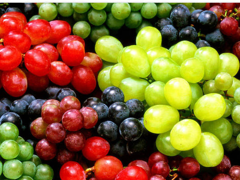 Агроном рассказал, как сохранить на зиму свежие грозди дачного винограда