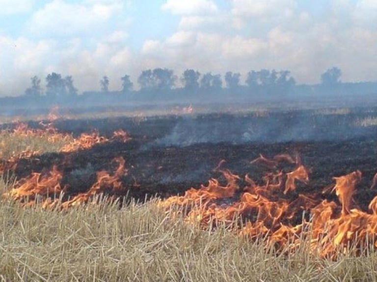 За сутки в Украине произошло 243 пожара