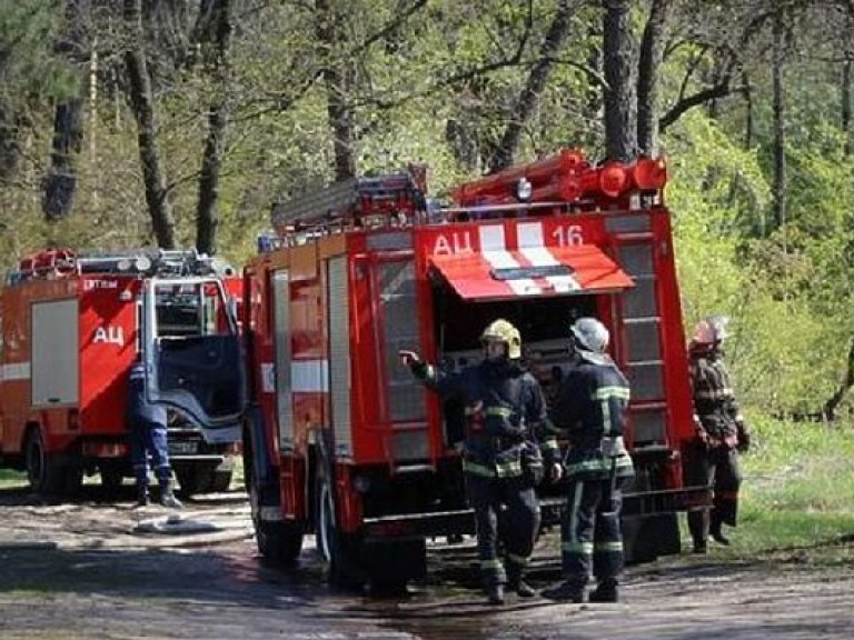 В восьми областях Украины объявили высший уровень пожарной опасности