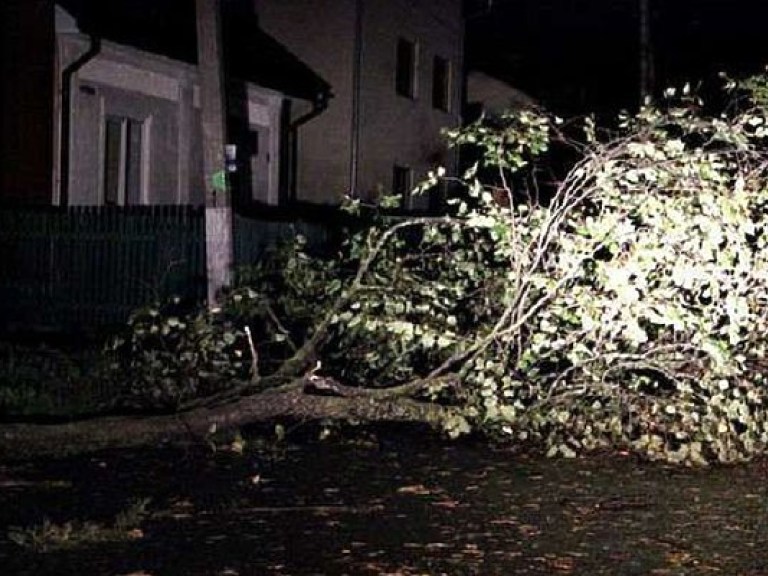 Разрушительный циклон из Румынии все-таки затронул Украину (ФОТО, ВИДЕО)