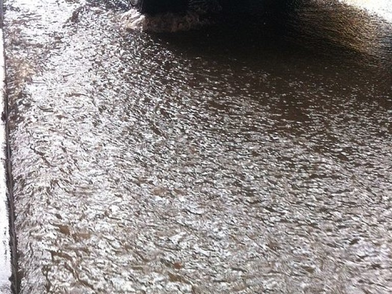 В Шевченковском районе Киева прошел ливень: сотрудники офисов бежали по щиколотку в воде (ФОТО)