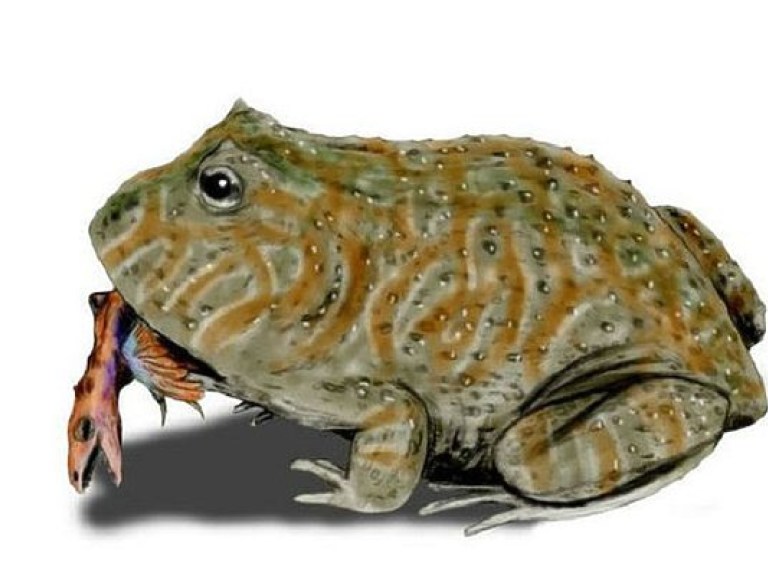 Ученые обнаружили древнюю лягушку, которая пожирала динозавров