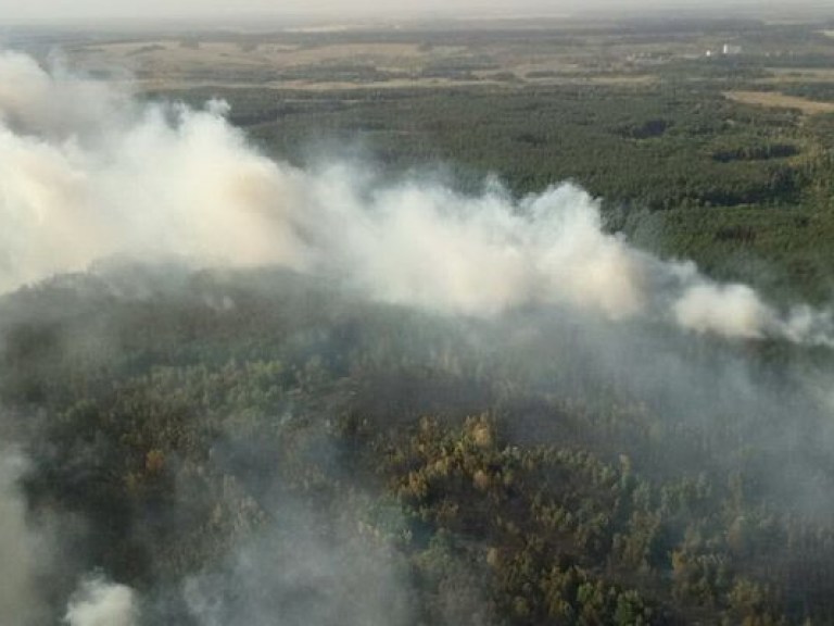 В Харьковской области горит 70 гектар леса (ФОТО)