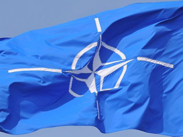 НАТО планирует косвенно контролировать деятельность «голубых касок» на Донбассе – европейский аналитик