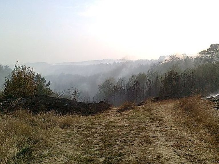В результате возгорания травы на Киевщине сгорели четыре дома