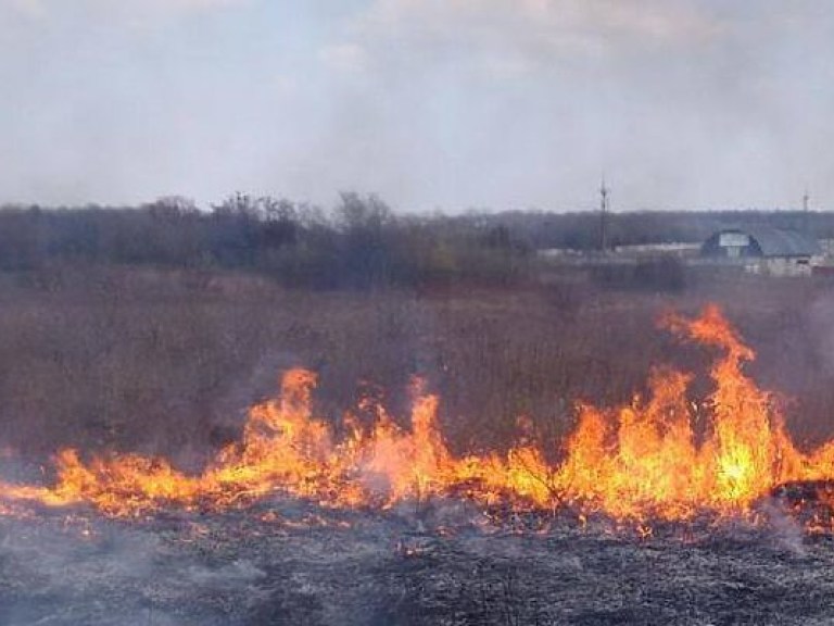 Чрезвычайная пожарная опасность ожидается в четырех областях Украины &#8212; ГСЧС