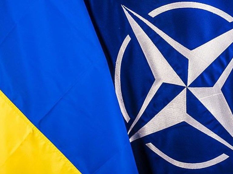В НАТО нет консенсуса относительно членства Украины в альянсе &#8212; Климпуш-Цинцадзе