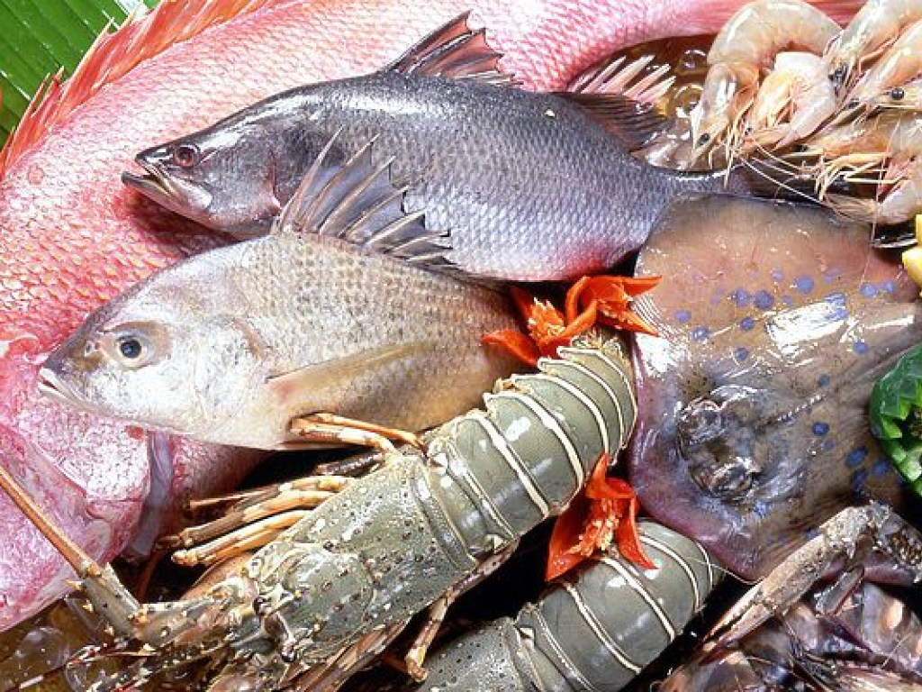 Эксперт: Украинцы едят слишком мало рыбы
