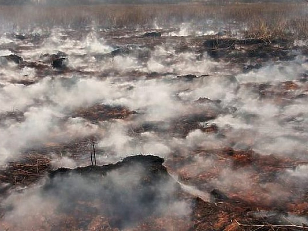 В Полтавской области на площади 70 гектаров вторые сутки не могут ликвидировать возгорание торфяников – ГСЧС (ВИДЕО)