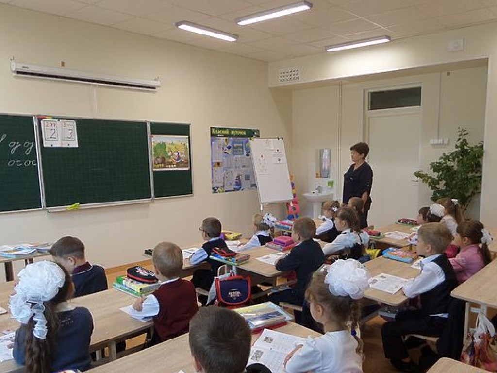 Венгрия и Румыния не смогут заставить Украину изменить закон об образовании – эксперт