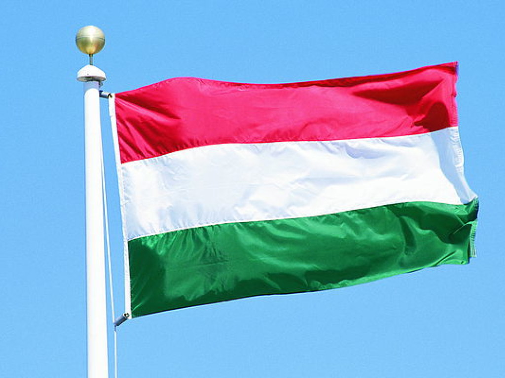 На Закарпатье со школы для нацменьшинств сняли флаг Венгрии &#8212; СМИ