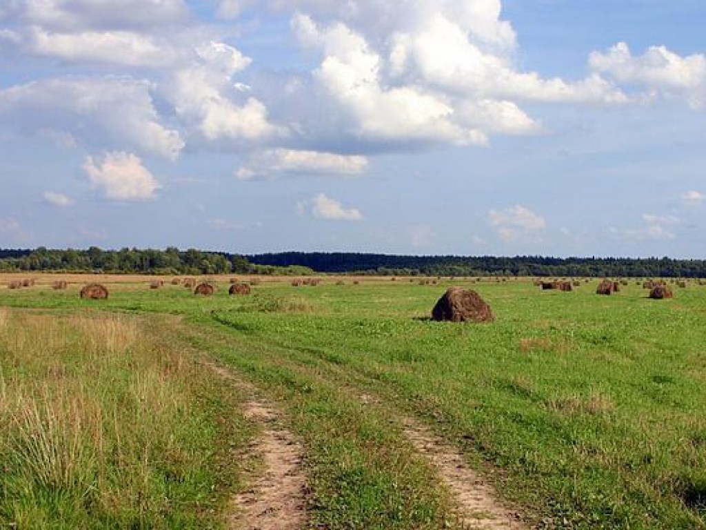 Иран хочет арендовать землю в Украине