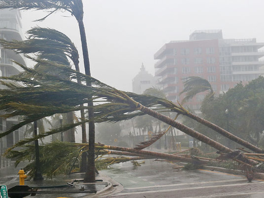 К США приближается новый ураган «Нейт»