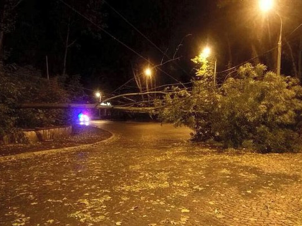 На Львов обрушилась буря, часть дорог перекрыта (ФОТО)