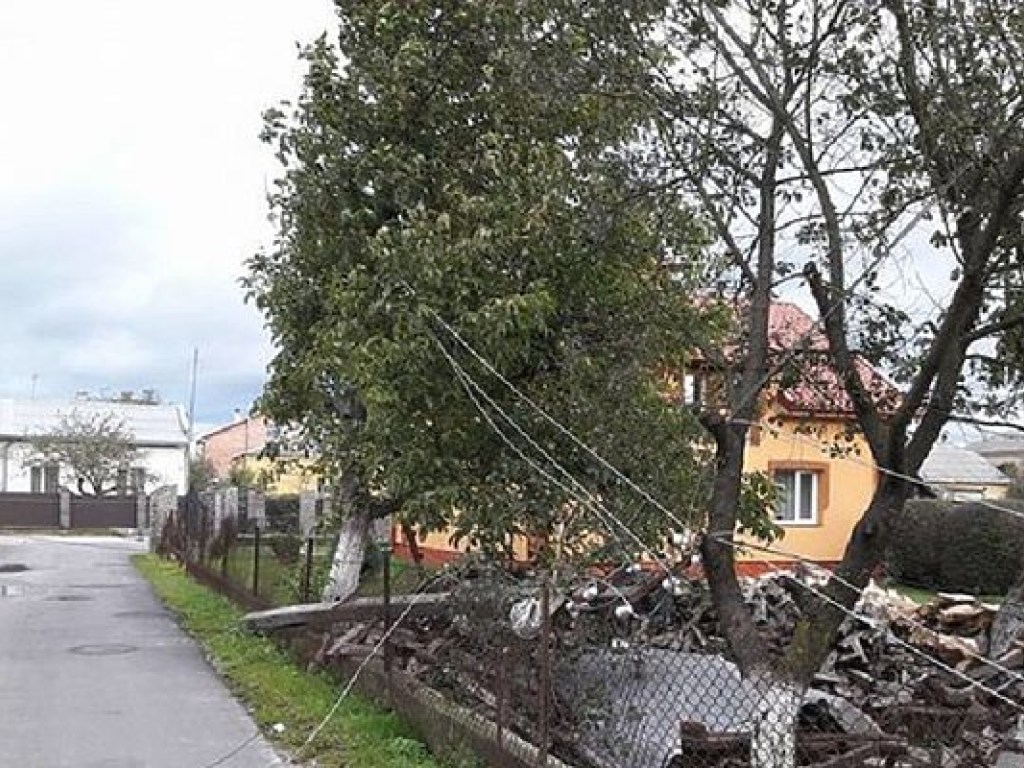 В сети появились фото и видео последствий урагана во Львове