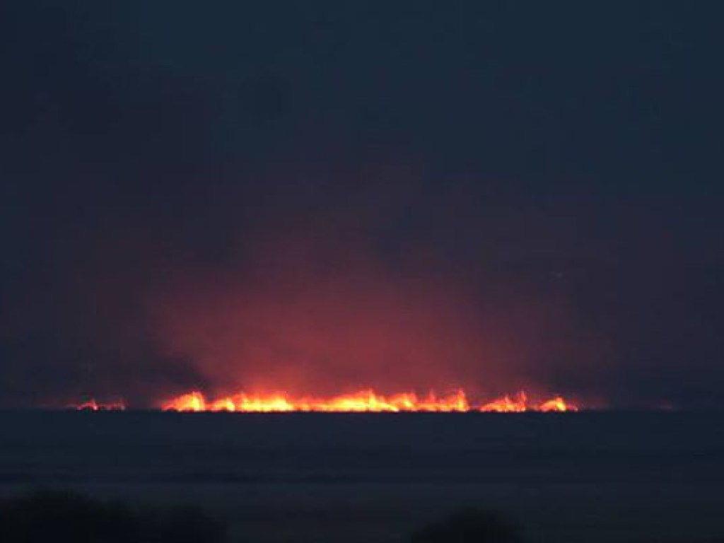 В Нижнеднестровском национальном парке произошел пожар (ФОТО)