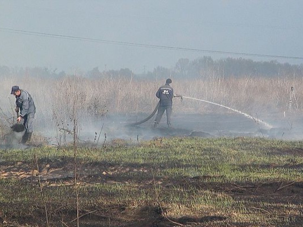 В Черкасской области третью неделю не могут потушить пожар на торфяных полях