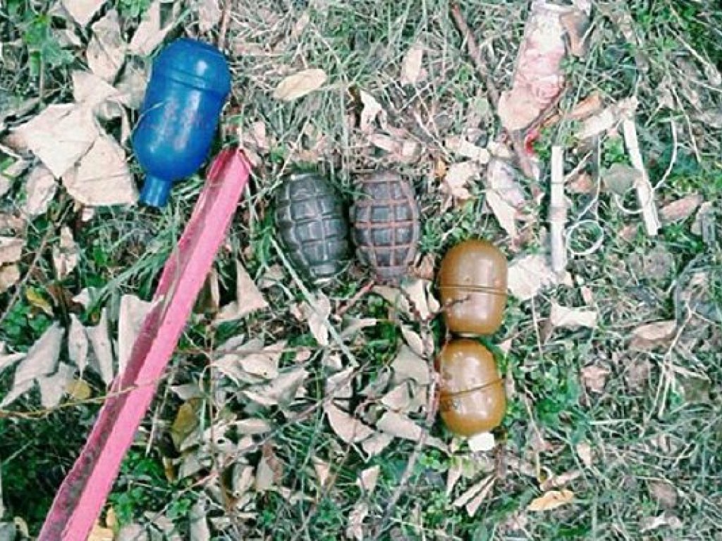 В Запорожье возле школы нашли гранаты (ФОТО)
