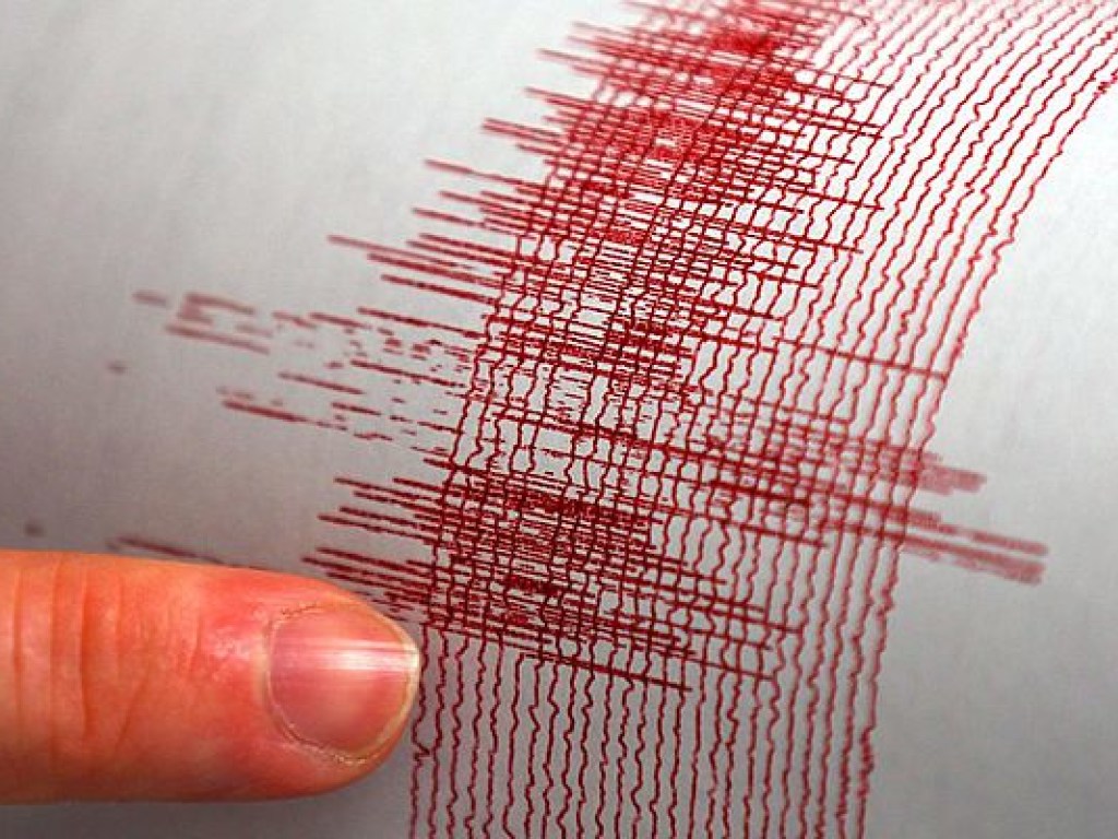 Сильное землетрясение зафиксировали в Тихом океане