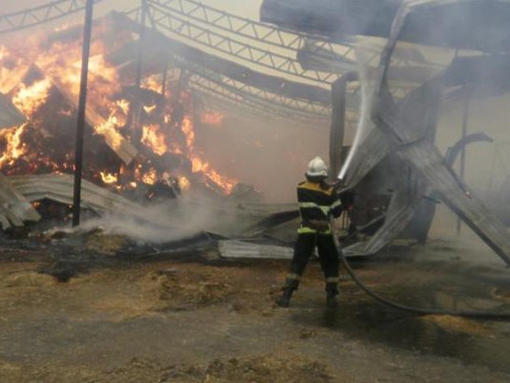 Пожар на складе в Полтавской области: огонь уничтожил 750 тонн сена (ФОТО)