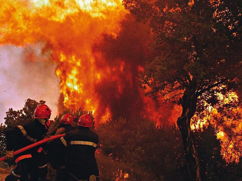 Лесные пожары в Калифорнии: число жертв увеличилось до 15 (ФОТО)
