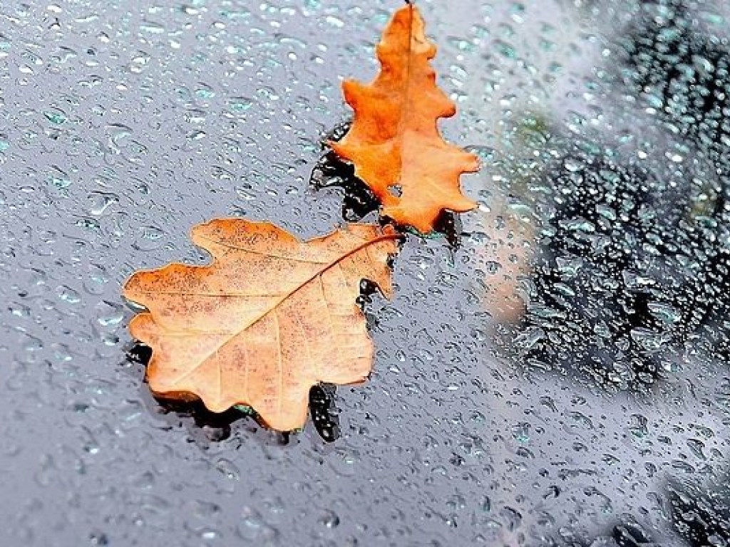 Погода на 12 октября: На большей части Украины ожидаются дожди