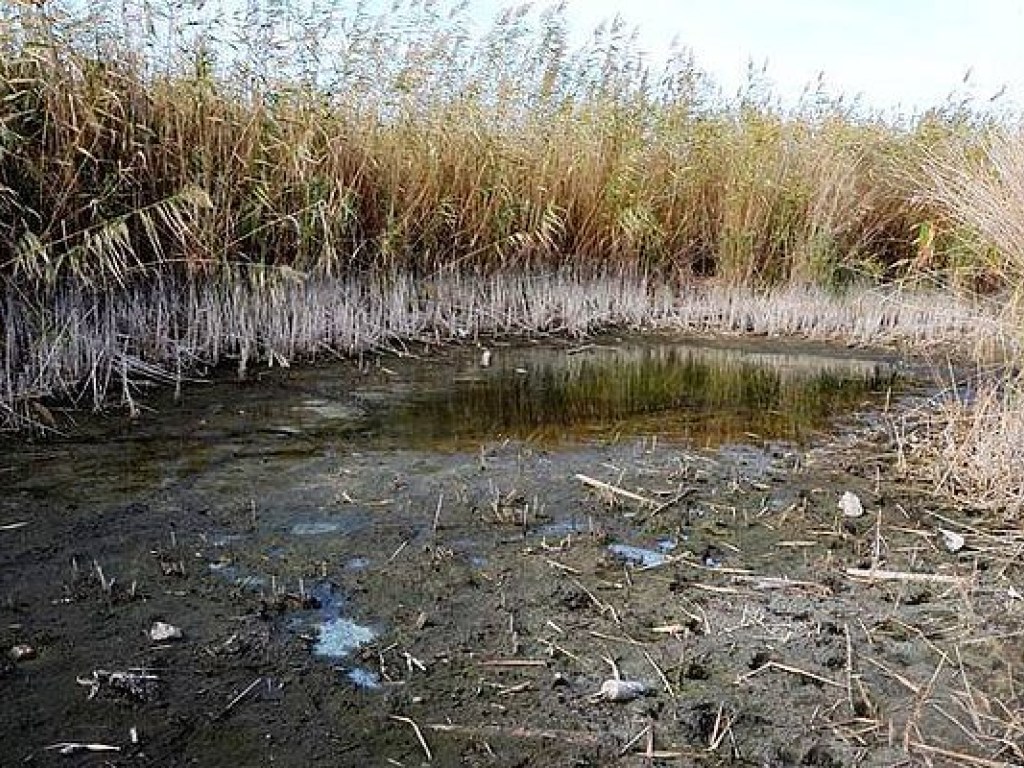 В Николаеве возникла угроза исчезновения Соленого озера (ФОТО)