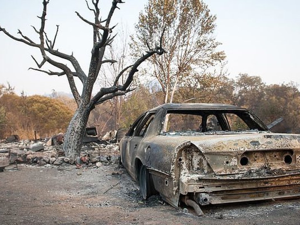 Число жертв лесных пожаров в Калифорнии возросло до 31 человека (ФОТО, ВИДЕО)