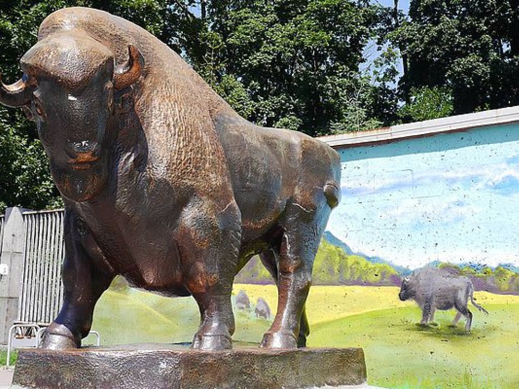 Реконструкция Киевского зоопарка значительно подорожала